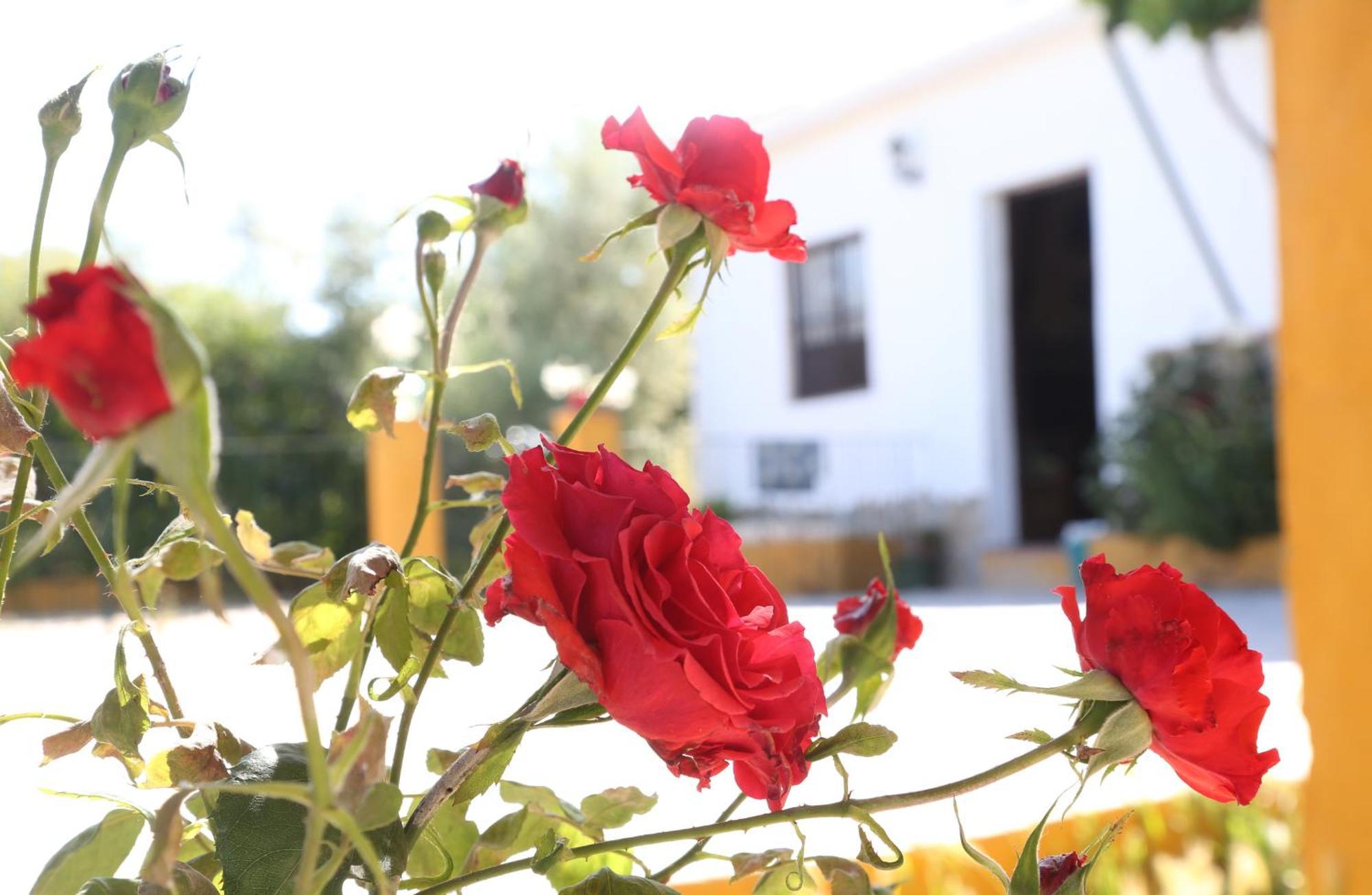 Casa Rural Huerta La Lapa Canete la Real Luaran gambar