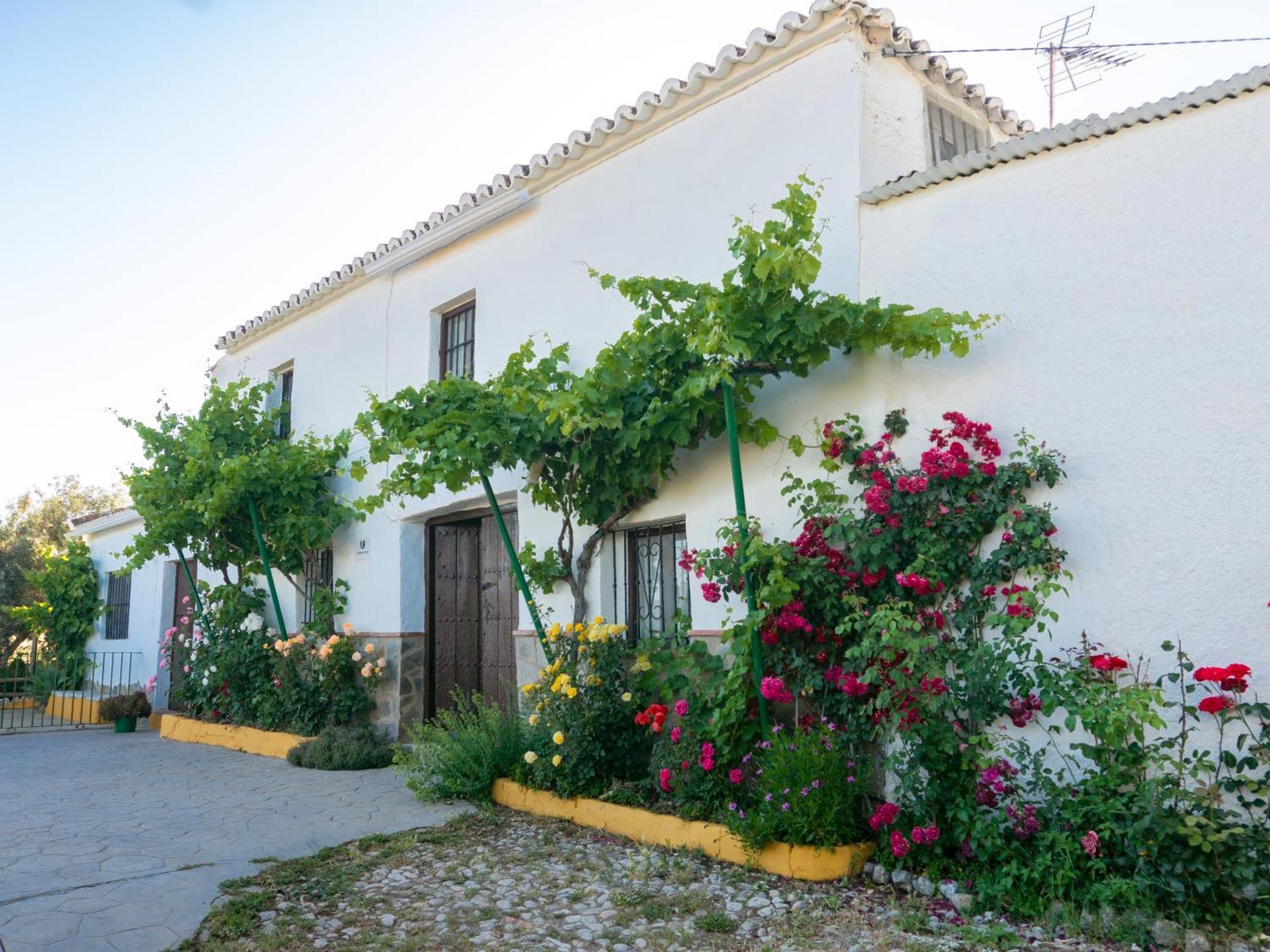 Casa Rural Huerta La Lapa Canete la Real Luaran gambar